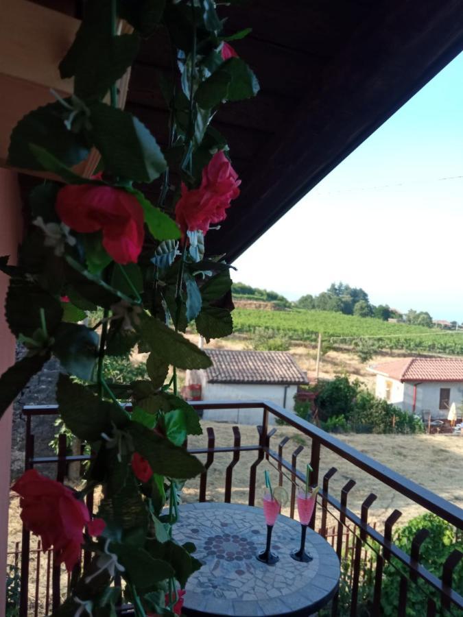 Petite Maison Dell'Etna ミーロ エクステリア 写真